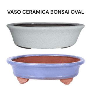 VASO CERAMICA BONSAI OVAL